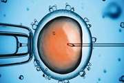 واکسن‌های کووید 19 و پروسه IVF؟