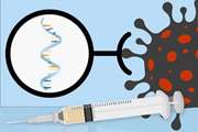 بی‌خطری واکسن‌های mRNA ضد کووید در مادران باردار