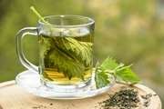 گیاه گزنه (Stinging nettle): تداخلات داروئی و احتیاطات مصرف