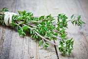 گیاه آویشن (Thyme): تداخلات داروئی و احتیاطات مصرف