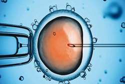 واکسن‌های کووید 19 و پروسه IVF؟