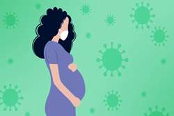 ایمنی داروی Paxlovid در دوره بارداری؟!