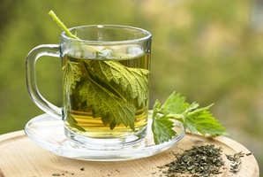 گیاه گزنه (Stinging nettle): تداخلات داروئی و احتیاطات مصرف