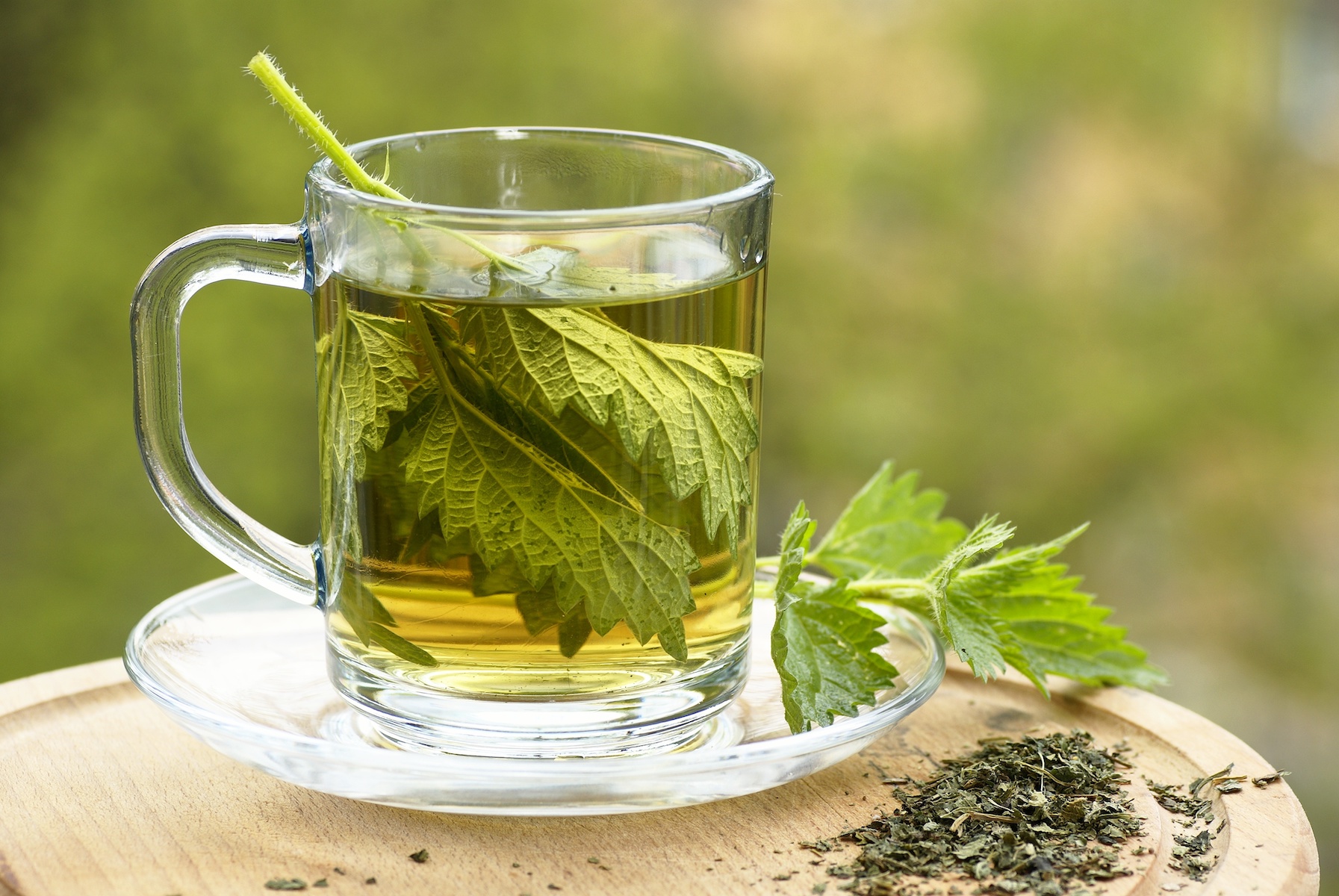 گیاه گزنه (Stinging nettle): تداخلات داروئی و احتیاطات مصرف